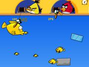 Angry Birds Double Fishing