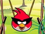 Angry Birds Get Eggs