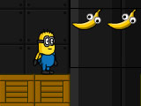 Search Papoy